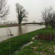 03-08.02.2014 - Emergenza meteo piena fiumi 9